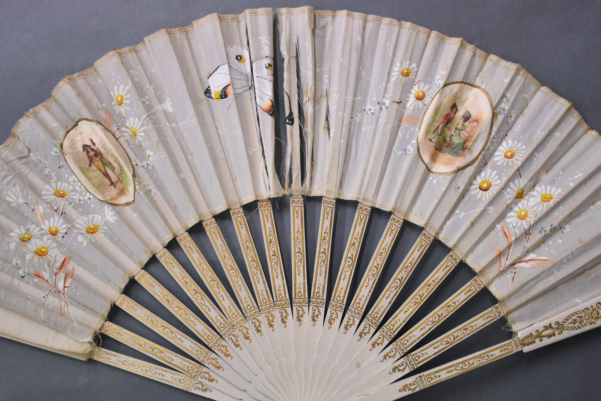 Fan in need of conservation
